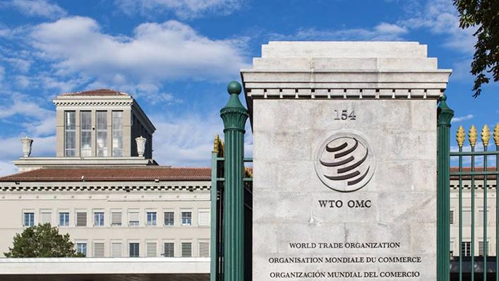 World Trade Organization Internships 2025: A Gateway to Global Trade Experience