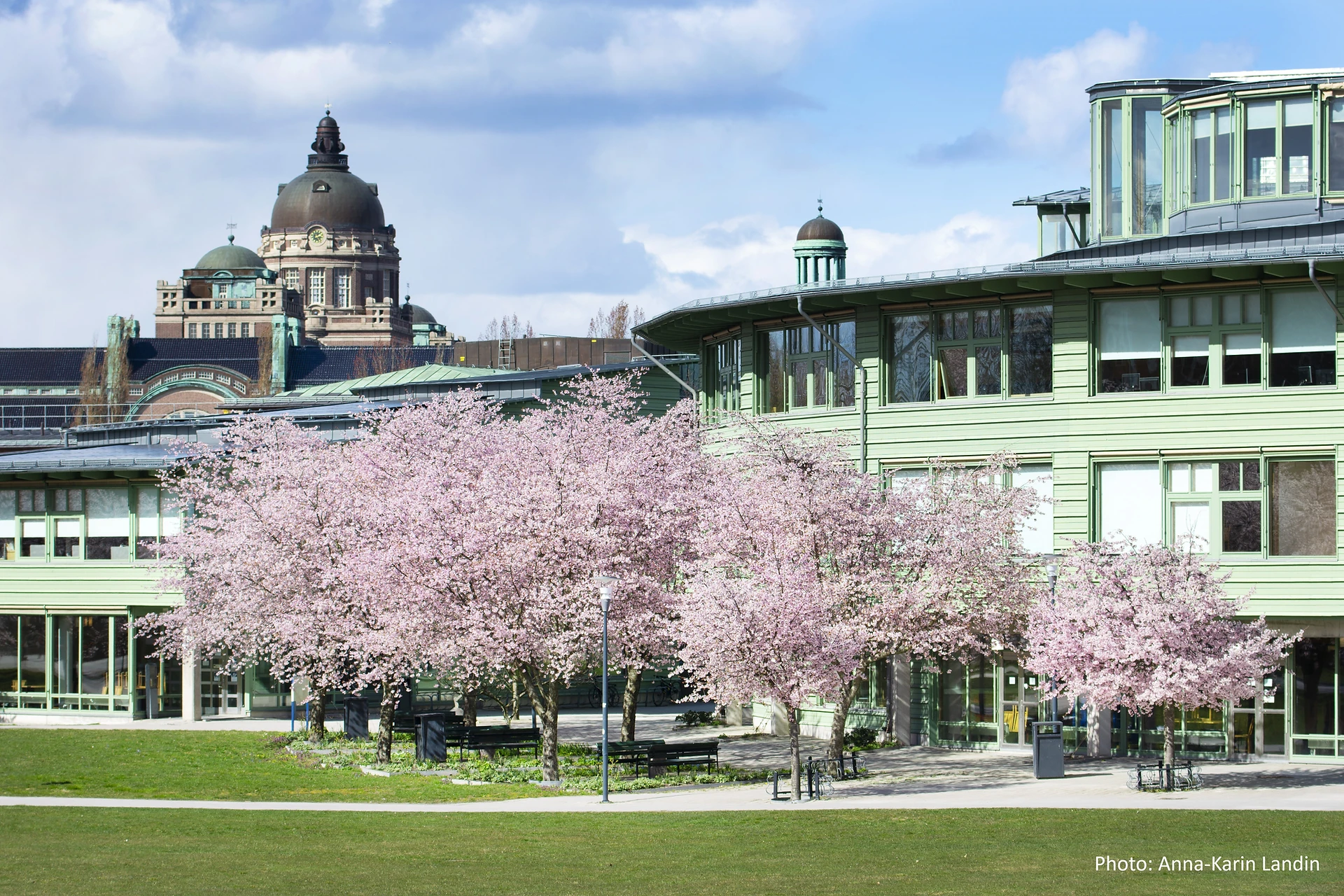 Stockholm University Scholarships: A Chance to Study in Sweden