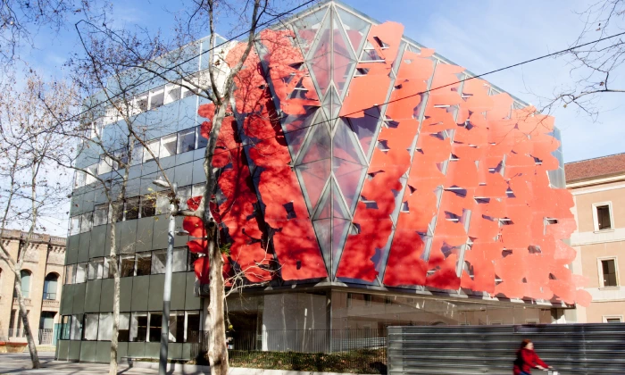 Barcelona Graduate School of Economics Scholarships 2025-26 | Study in Spain Fully Funded