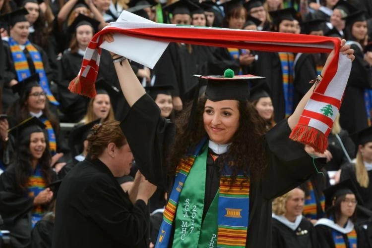 MENA Scholarship Programme 2025: A Fully Funded Opportunity for Professionals in the Netherlands