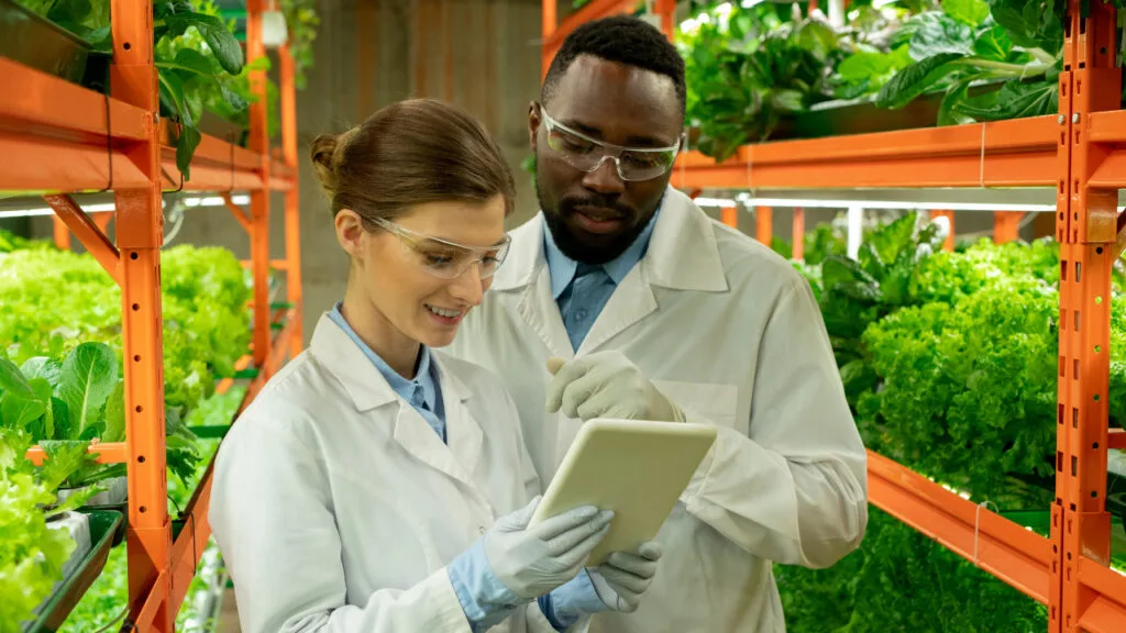 Why Pursuing a Master’s in Environmental Engineering is the Future of Sustainability