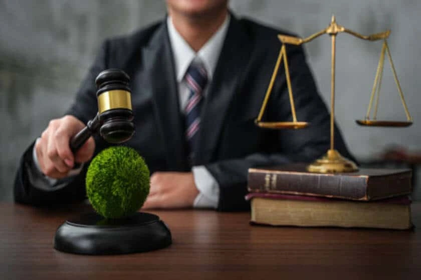 Jim Rubin International Fellowship: An Opportunity for Emerging Environmental Lawyers
