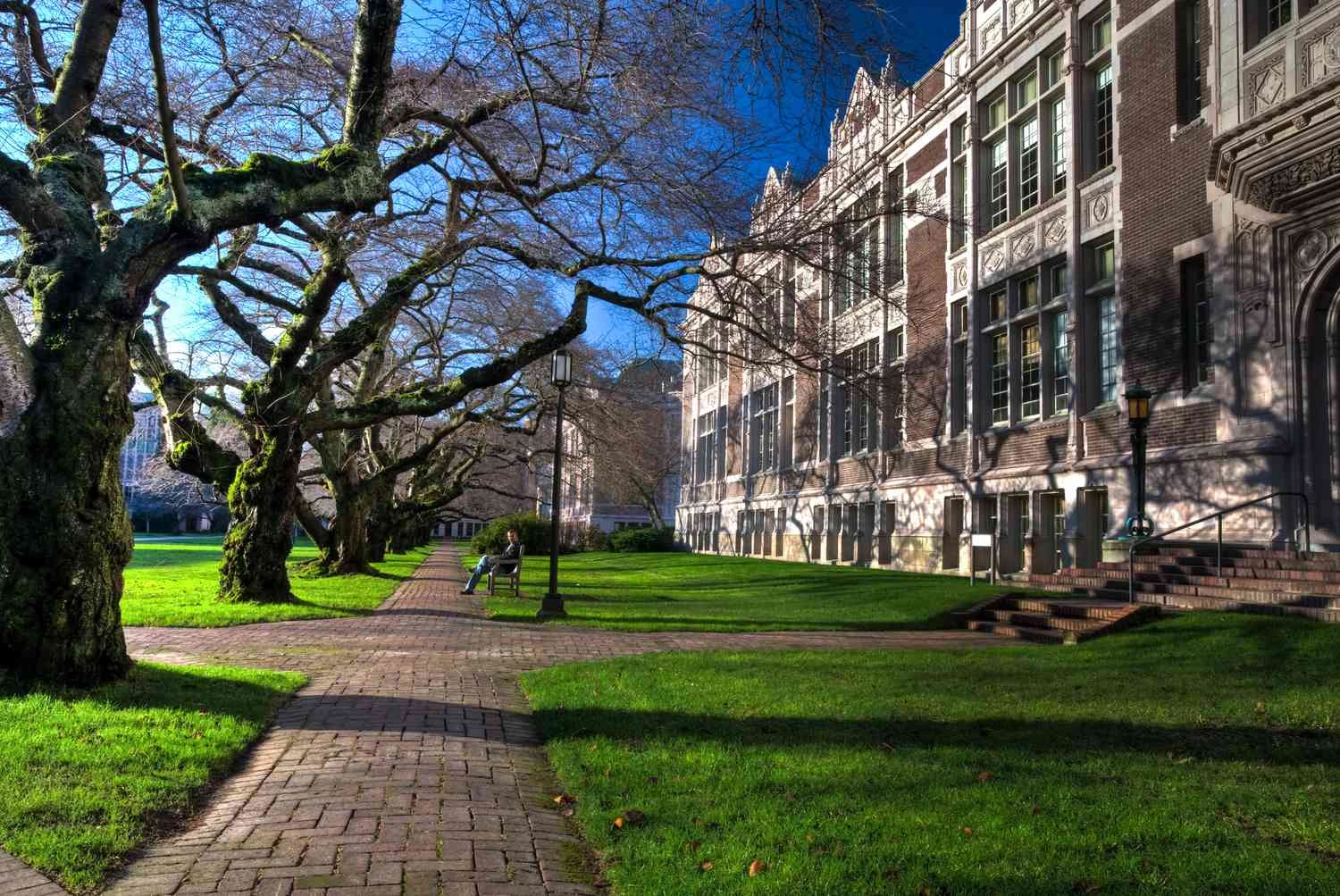 Explore Seattle University Scholarships: Financial Aid for International Undergraduates in 2025-2026