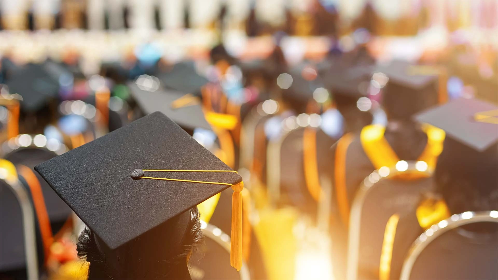 How to Secure a University-Sponsored Scholarship as an International Student
