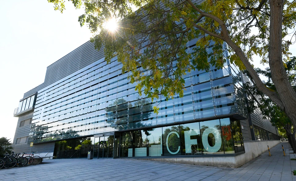 ICFO Fellowship 2025–2026 in Spain – A Golden Opportunity for Global Researchers