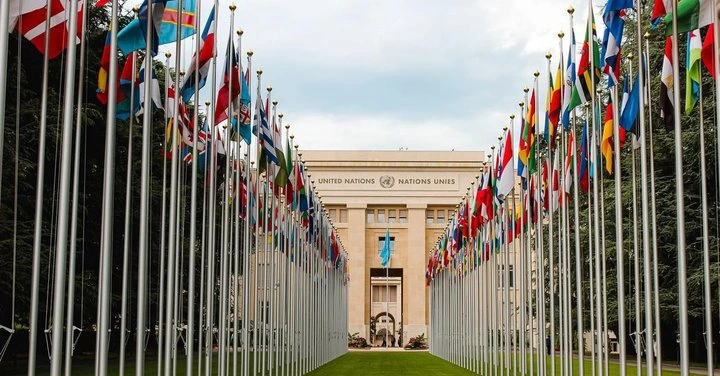 Frank Jennings Fellowship: Paid Opportunity for Graduates in Ireland & Geneva: A Prestigious Fellowship for Human Rights Advocacy