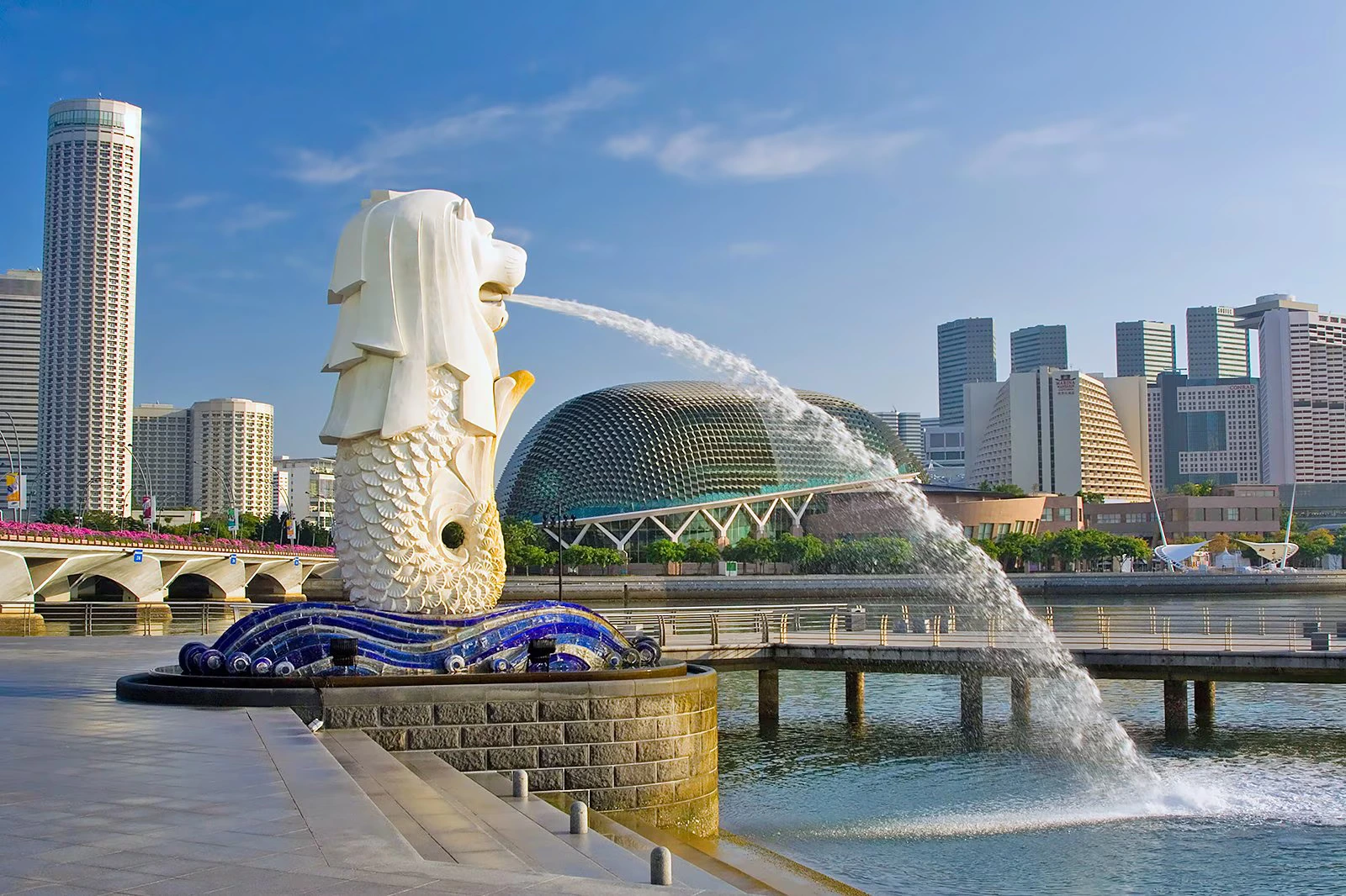 Study in Singapore Without IELTS 2025 | Singapore Scholarships