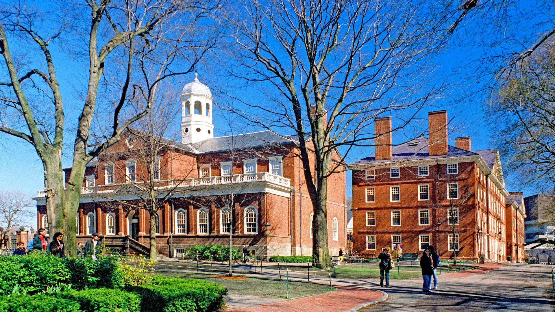 Harvard University Free Online Courses 2025 – Learn from the Best at No Cost