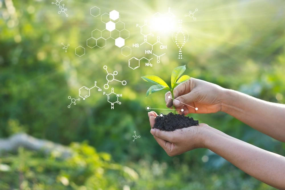 Top 10 Universities for Life Sciences Degrees in 2025: Best Global Institutions