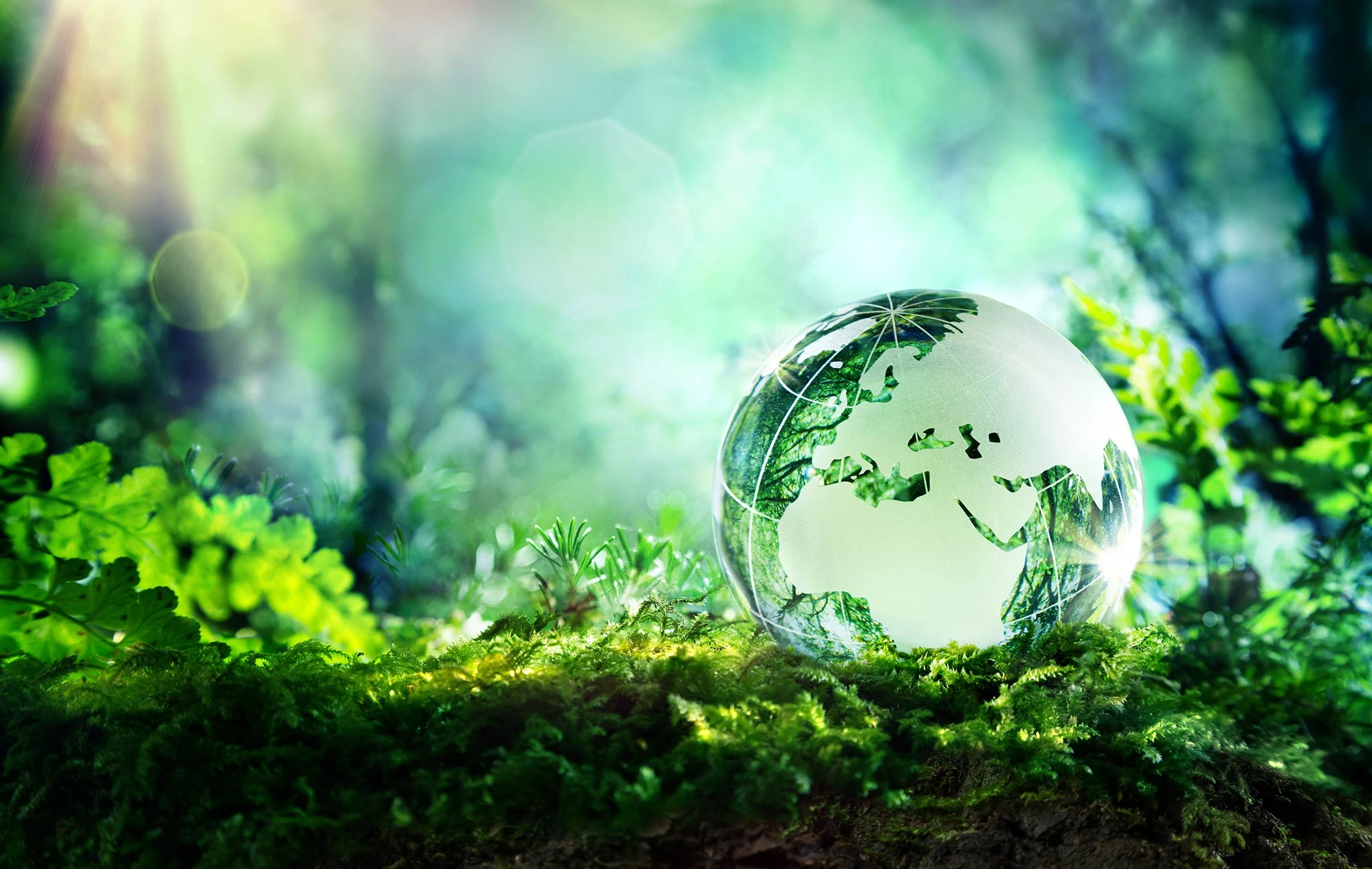 Environmental Science & Sustainability Scholarships for Global Students