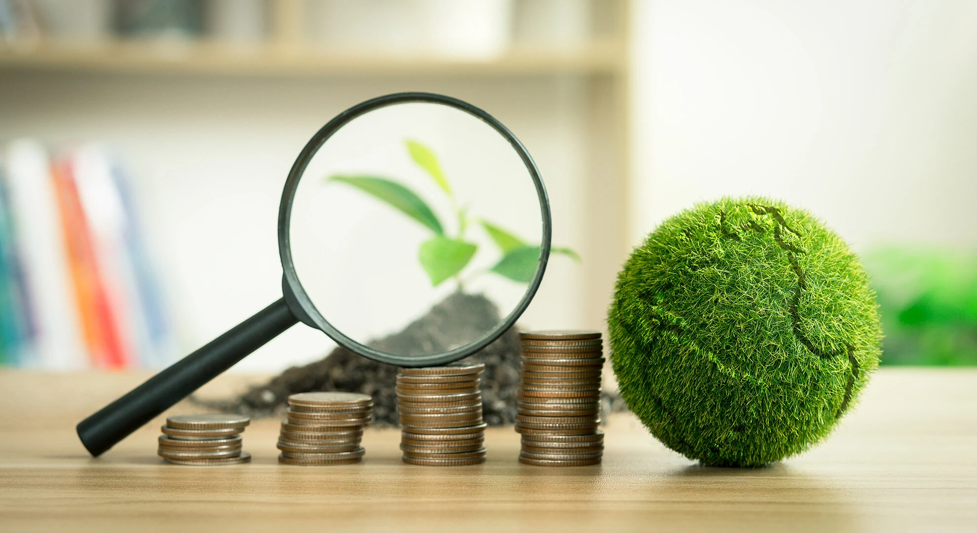 Green & Sustainable Development Scholarships: Fund Your Eco-Dreams