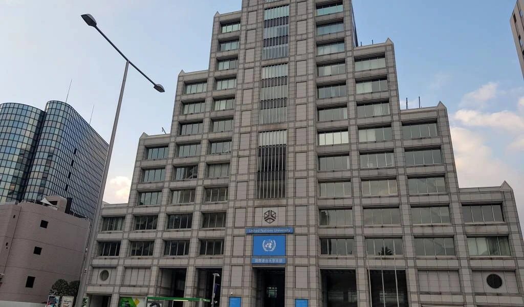 Policy Research Fellow Position at UNU-IIGH: Advancing Global Health and Sustainable Development