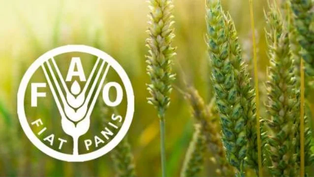 FAO Global Forestry Champions: Honouring Excellence in Sustainable Forest Management