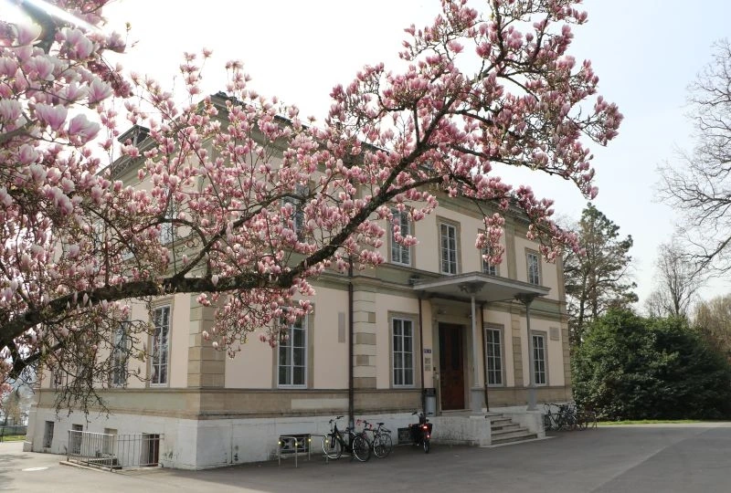 University Image