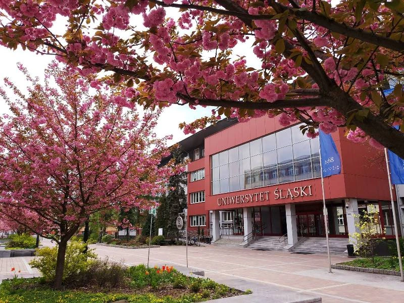 University Buildings
