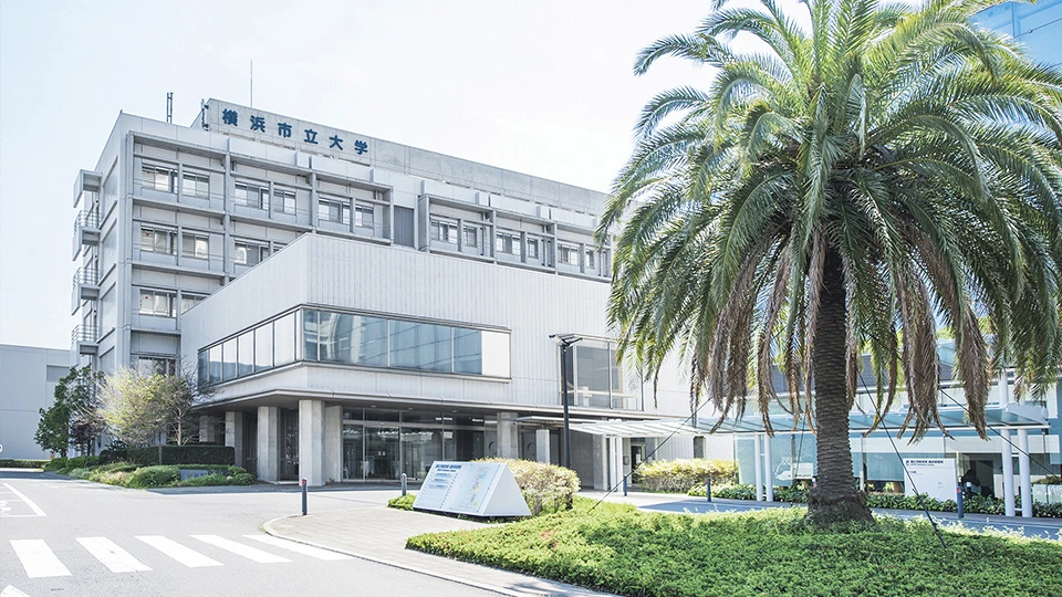 University Buildings